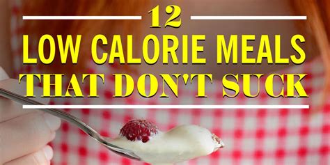 Low Calorie Recipes Meals Under 500 Calories