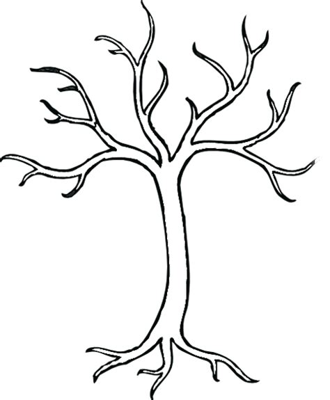 How To Sketch A Tree Without Leaves Clipart Best