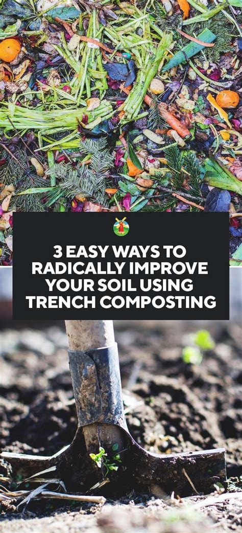3 Easy Ways To Radically Improve Your Soil Using Trench Composting