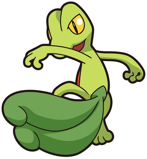 Treecko Pokémon Wiki Fandom Powered By Wikia Dibujos De Pokemon