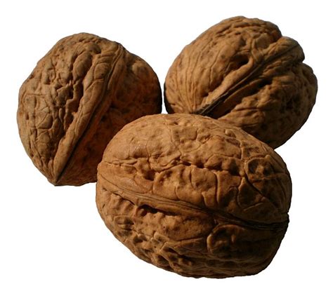 11 Amazing Health Benefits Of Walnut