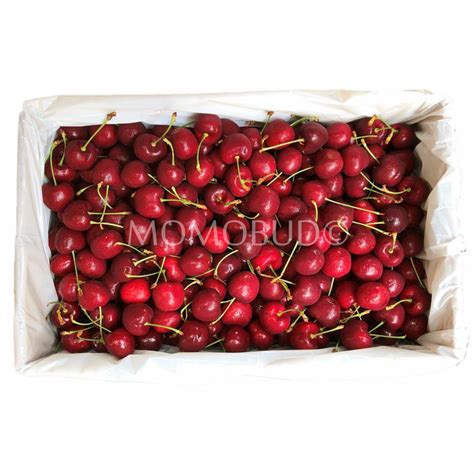Canadian Skeena Red Cherry Box 5kg — Momobud