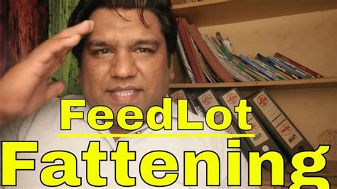 Feedlot Fattening Vachay Kattay Nutrition Program Medical Education