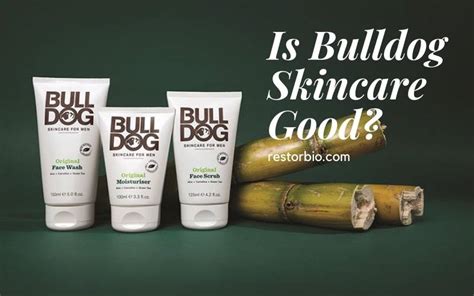 Is Bulldog Skincare Good Top Full Guide 2022 Restorbio