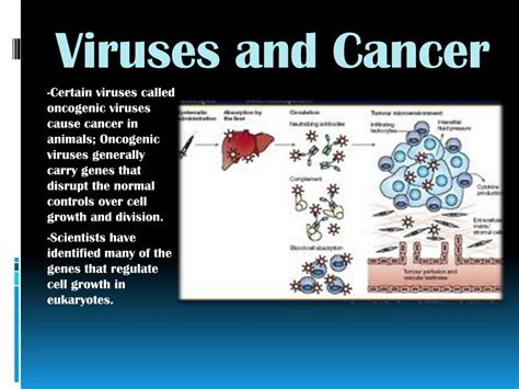 Ppt Viruses Powerpoint Presentation Free Download Id1900939