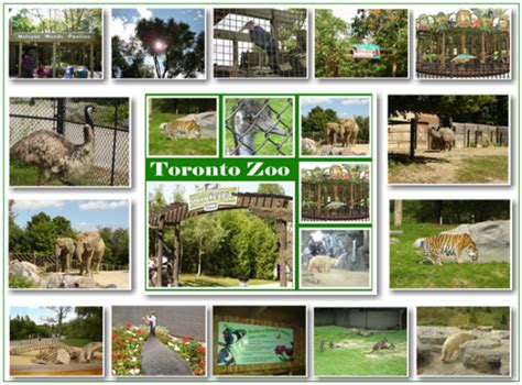 Toronto Zoo Canada Hubpages