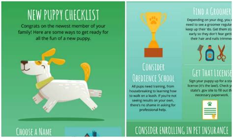 Get cheap us auto insurance now. New Puppy Checklist Infographic - Golden Woofs