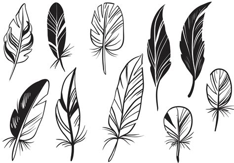 Feather Vector Art Icons And Graphics For Free Download