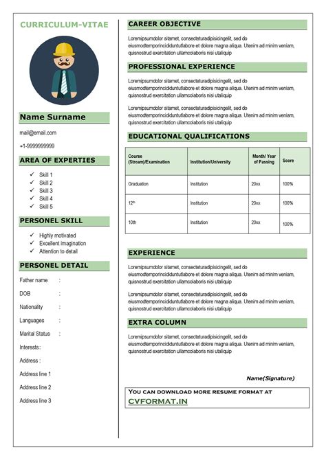 Curriculum Vitae Format Cv Template For Ms Word Professional Resume