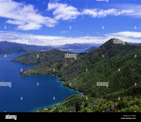 Blackwood Bay Off Queen Charlotte Sound South Island New Zealand Stock