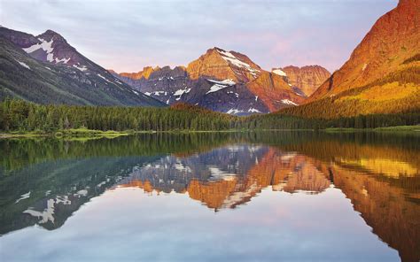 Lake Forest Mountain Reflection Wallpaper 2560x1600 225279 Wallpaperup
