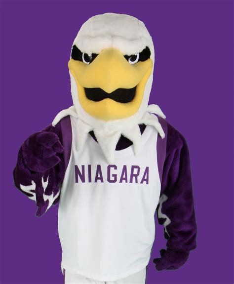 60 Teams 60 Days Niagara University Purple Eagles Rhockey