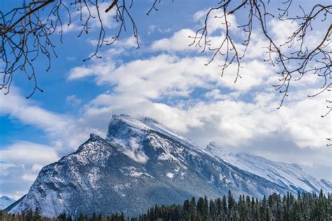 Close Up Snow Covered Mount Rundle With Snowy Forest Banff National