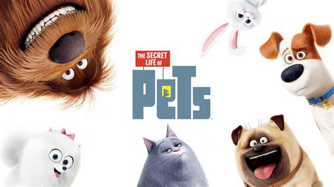 123movies offer a vast collection of latest movies and tv series. The Secret Life Of Pets 2 Wallpapers - Top Free The Secret ...