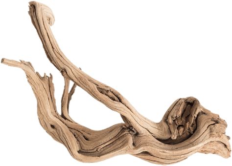 Nature Driftwood Png Clipart Large Size Png Image Pikpng