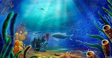 Salah dalam memilih aquarium untuk ikan cupang akan berakibat fatal, bahkan yang paling parah menyebabkan ikan cupang mati. Wallpaper 3d Laut - Wallpaper
