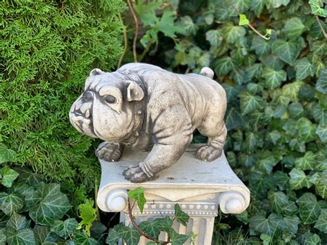 Evil Bulldog Figurine Concrete Bulldog Statue Outdoor Etsy