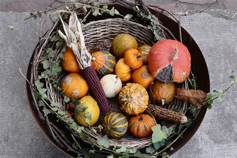 Free Images Bowl Food Produce Vegetable Pumpkin Still Life
