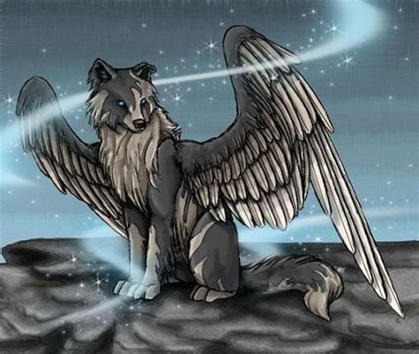 17 Best Images About Night Howl Winged Wolf On Pinterest Wings Swift