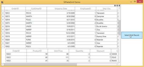 Datagrid With Row Details The Complete Wpf Tutorial