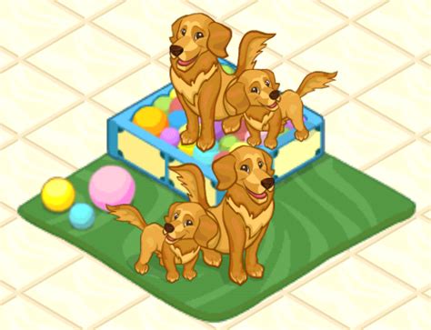 Golden Retriever Pet Shop Story Wiki Fandom Powered By Wikia