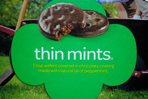 Behind the Huge Success of the Girl Scout Cookie Industry