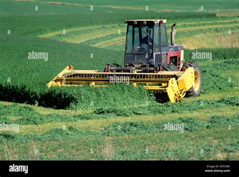 A Swather Harvesting Alfalfa Hay In Idaho Stock Photo Alamy