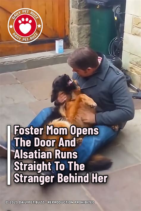 Foster Mom Opens The Door And Alsatian Runs Straight To The Stranger