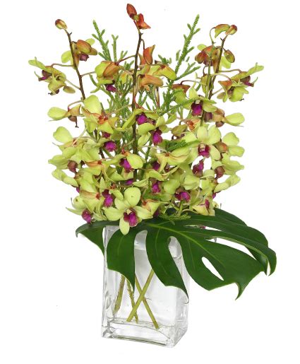 Out Of This World Orchid Arrangement In Los Angeles Ca My Bella Flower