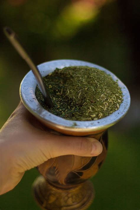 Person Holding Stainless Steel Cup Matcha Chimarrão Yerba Mate