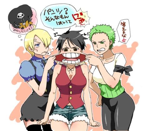 Genderbend Genderbend One Piece Manga One Piece Anime