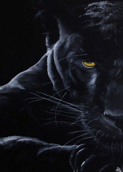 Panther Black Panthers Black Tigers Black Panther Cat Panther Art