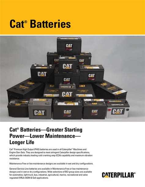 Fortunately it dispensed excess food. Cat® Batteries