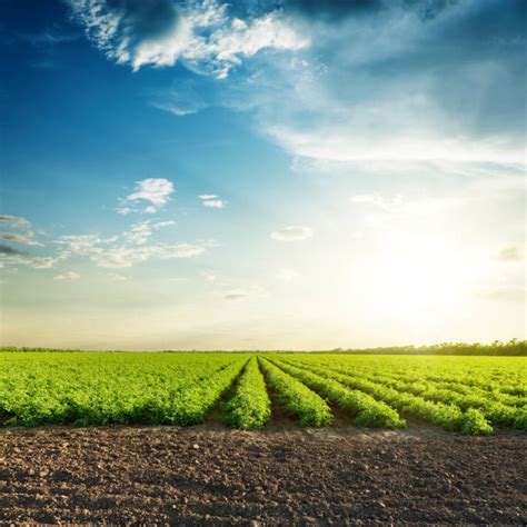 5048500 Farm Land Stock Photos Pictures And Royalty Free Images Istock