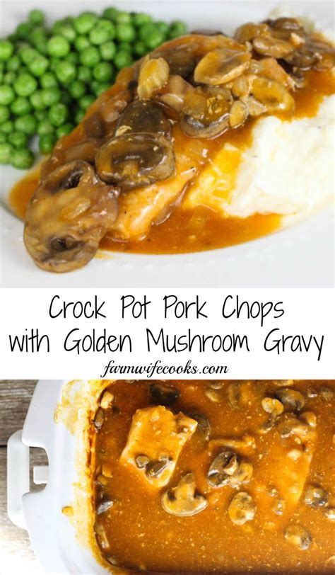 Follow the recipe instructions on what types of pork chops to use in your recipe. Crock Pot Pork Chops with Golden Mushroom Gravy - The ...