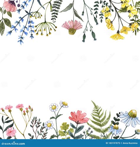 Watercolor Wildflowers Frame On White Background Beautiful Summer