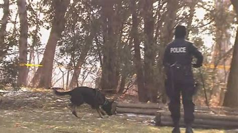 The murders took place between. Cadaver dogs on scene of Leaside property linked to Bruce ...