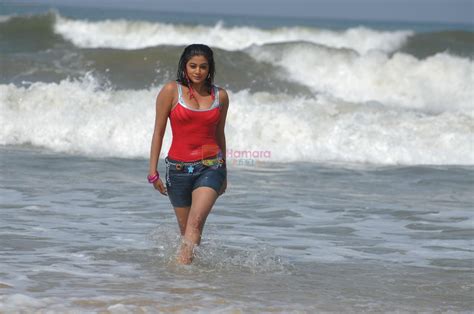 Priyamani In Sexy Shoot On Beach Priyamani Bollywood Photos