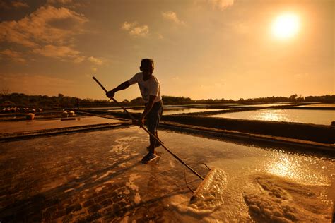 Covid Brings Pangasinan Towns Salt Industry To A Standstill Inquirer