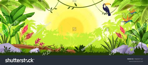 Jungle Background Rainforest Sunrise Nature Wood Stock Vector Royalty