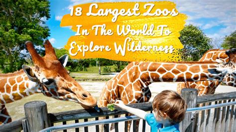 18 Largest Zoos In The World Where Sanctuaries Reside Traveltriangle