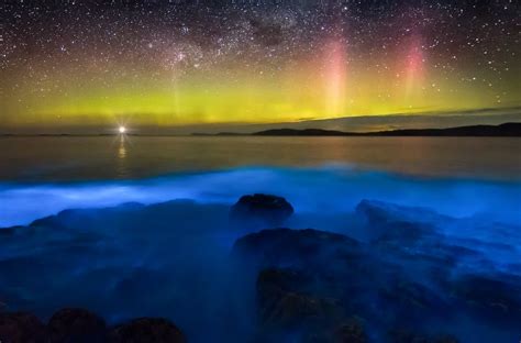 15 Places To See Bioluminescence Pics