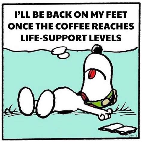 Pin By Wagner Michel On My Pins Snoopy Funny Snoopy Quotes Coffee Humor