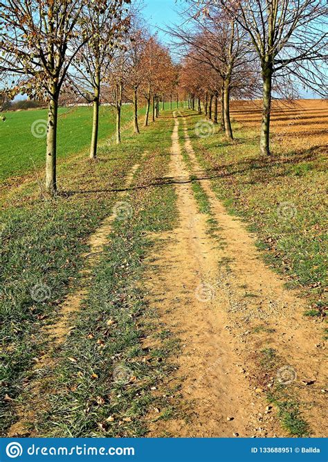The Path Between Fields Stock Image Image Of Farming 133688951