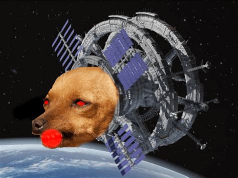 Battle 1 International Space Doggo Rpsbattleslive