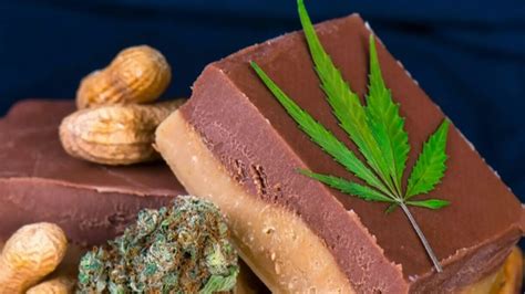 Cannabis Edibles Are Now Legal Everything You Need To Know Ctv News