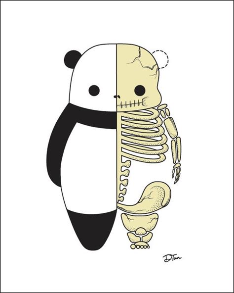 8 X 10 Skeleton Panda Art Print Etsy