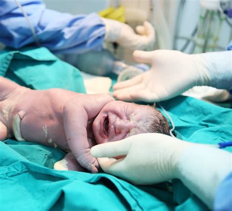 Lista 94 Imagen Fotos De Bebés Recién Nacidos En El Hospital Actualizar