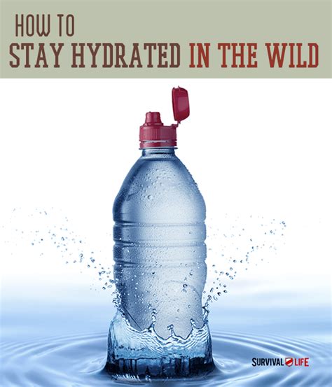 Tips On How To Stay Hydrated In The Wild Survival Life
