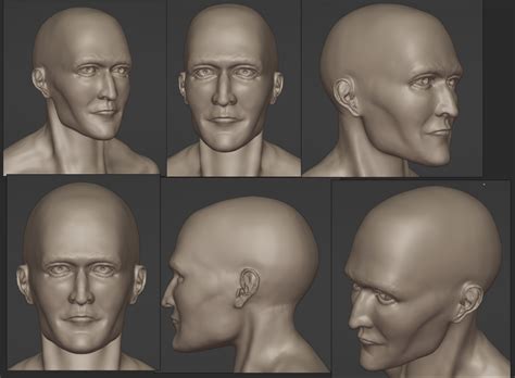 Seeking Feedback Sculpting A Masculine Headface Study — Polycount